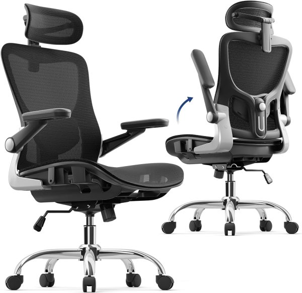 Ergonomic Office Chair, Mesh Seat Cushion with 3D Armrests and 3D Headrest, Adjustable Lumbar Support,  Class 4 Gas Clylinder, Black